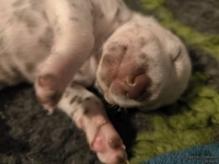 IMG_20250116_101620_web