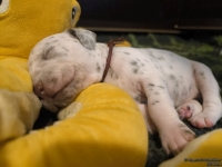 IMG_20250116_101642_web