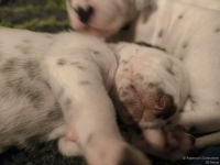 IMG_20250116_101704_web