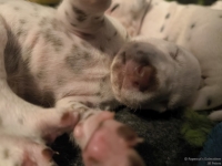 IMG_20250116_101712_web