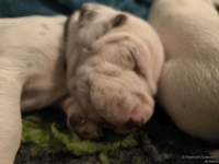 IMG_20250116_101752_web