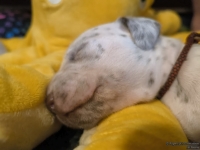 IMG_20250116_101813_web