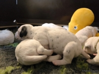 IMG_20250116_101915_web