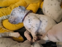 IMG_20250116_101927_web