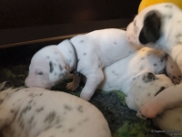 IMG_20250116_101934_web