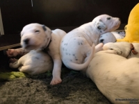 IMG_20250116_101941_web