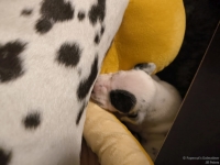 IMG_20250116_172210_web