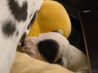 IMG_20250116_172217_web