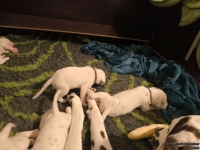 IMG_20250116_172321_web