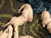 IMG_20250116_172427_web