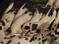 IMG_20250116_172453_web