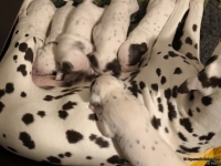 IMG_20250116_172514_web