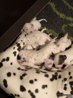 IMG_20250116_172554_web