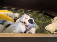 IMG_20250117_090733_web