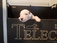 IMG_20250117_090904_web