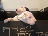 IMG_20250117_090908_web