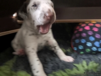 IMG_20250118_121524_web