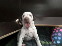 IMG_20250118_121527_web