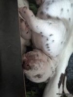 IMG_20250118_121537_web