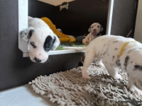 IMG_20250121_112702_web