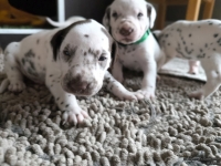 IMG_20250121_112728_web