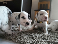 IMG_20250121_112713_web