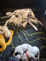 IMG_20250118_161530_web