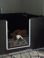 IMG_20250119_091400_web