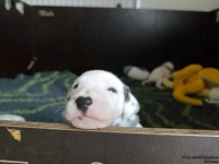 IMG_20250119_110947_web