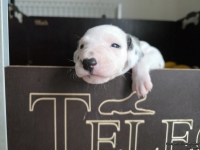 IMG_20250119_110953_web