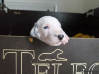 IMG_20250119_110954_web