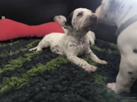 IMG_20250119_111047_web