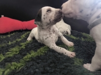 IMG_20250119_111048_web