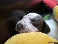 IMG_20250119_111140_web