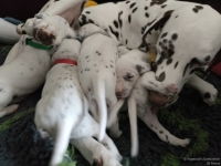 IMG_20250119_111646_web