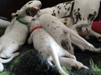 IMG_20250119_111648_web