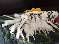 IMG_20250119_112158_web