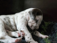 IMG_20250119_112242_web