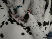 IMG_20250119_112542_web