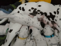 IMG_20250119_112646_web