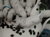 IMG_20250119_112652_web