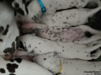 IMG_20250119_112713_web