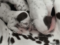 IMG_20250119_112941_web