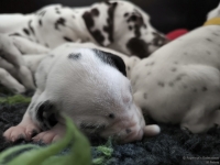 IMG_20250119_112956_web