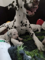 IMG_20250119_113300_web