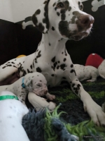 IMG_20250119_113301_web