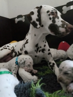 IMG_20250119_113302_web