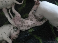 IMG_20250119_143203_web