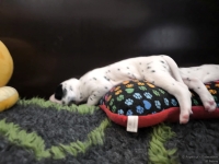 IMG_20250119_145629_web