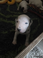 IMG_20250119_145651_web